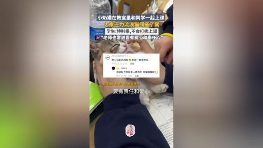 泽连斯基决定以叛国罪逮捕波罗申科,2025年今晚噢门开奖结果,权威独家讨论与热门话题_体验版V9.53