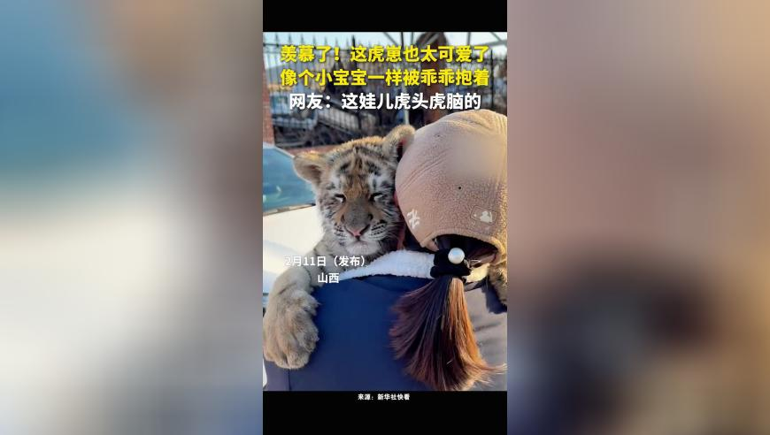 49图库资料兔费大全资料澳门,掌心大结局,详细释义解释落实_专家版V12.33