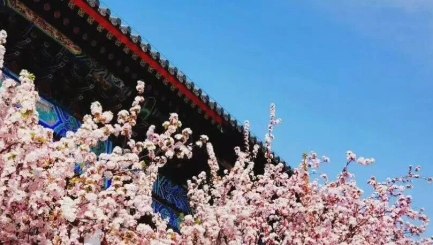 美国一州因山火进入紧急状态,2025澳门今晚开奖资料,确保成语解释落实的问题_GM版V7.52